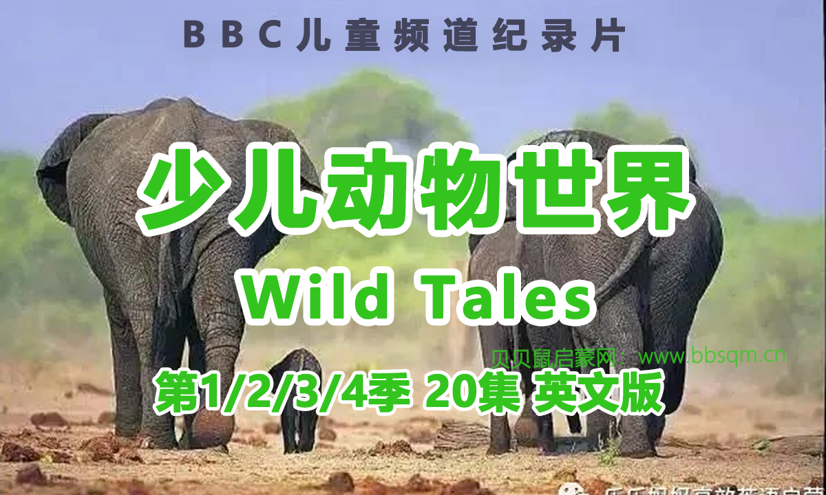 Wild Tales少儿动物世界纪录片第1/2/3/4季20集英文版 百度网盘资源下载  DG5544