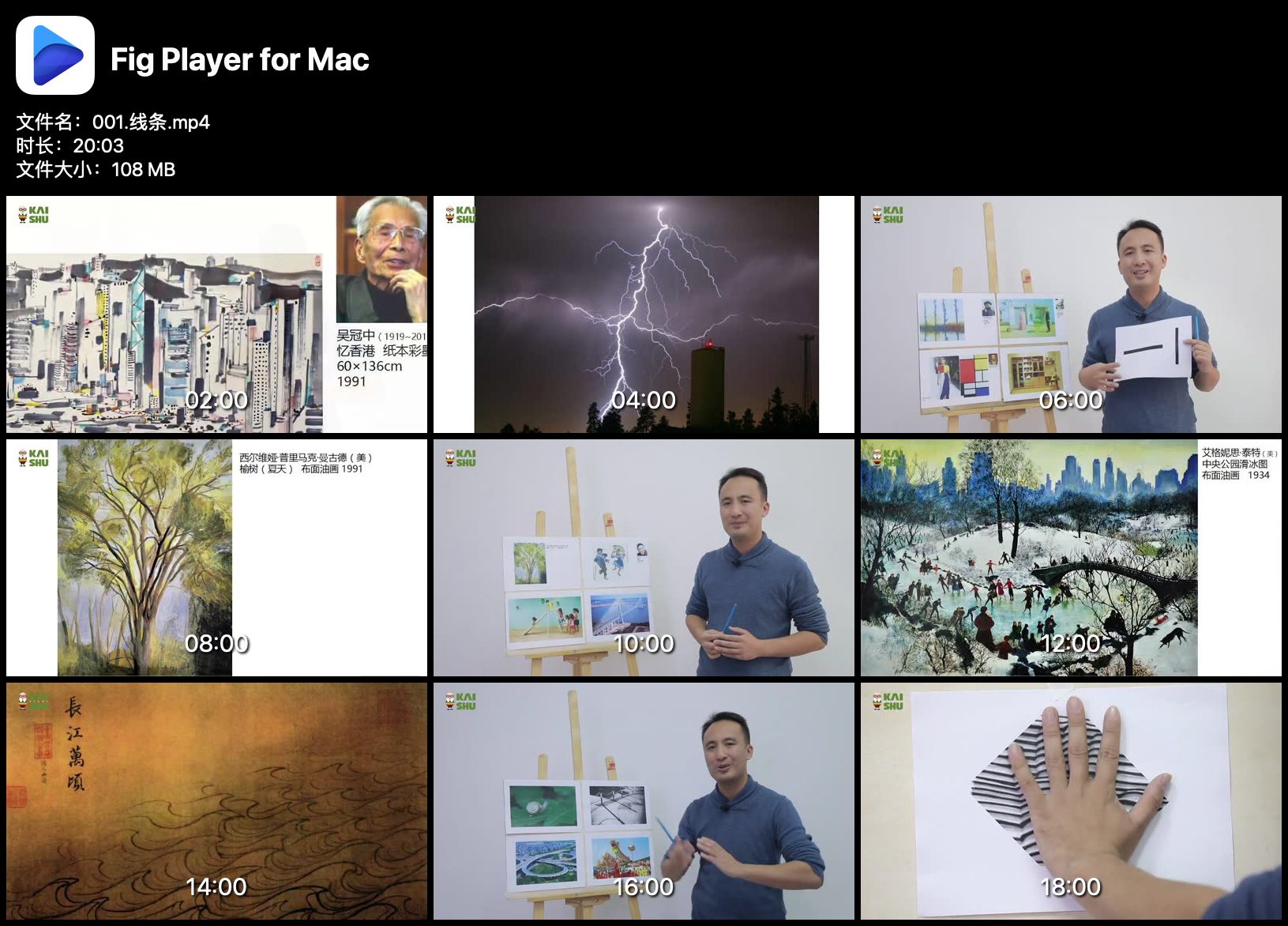 艺术美育《陈鑫:零基础绘画启蒙课》视频课程(2.44GB)资源合集【百度云网盘下载】HA30765