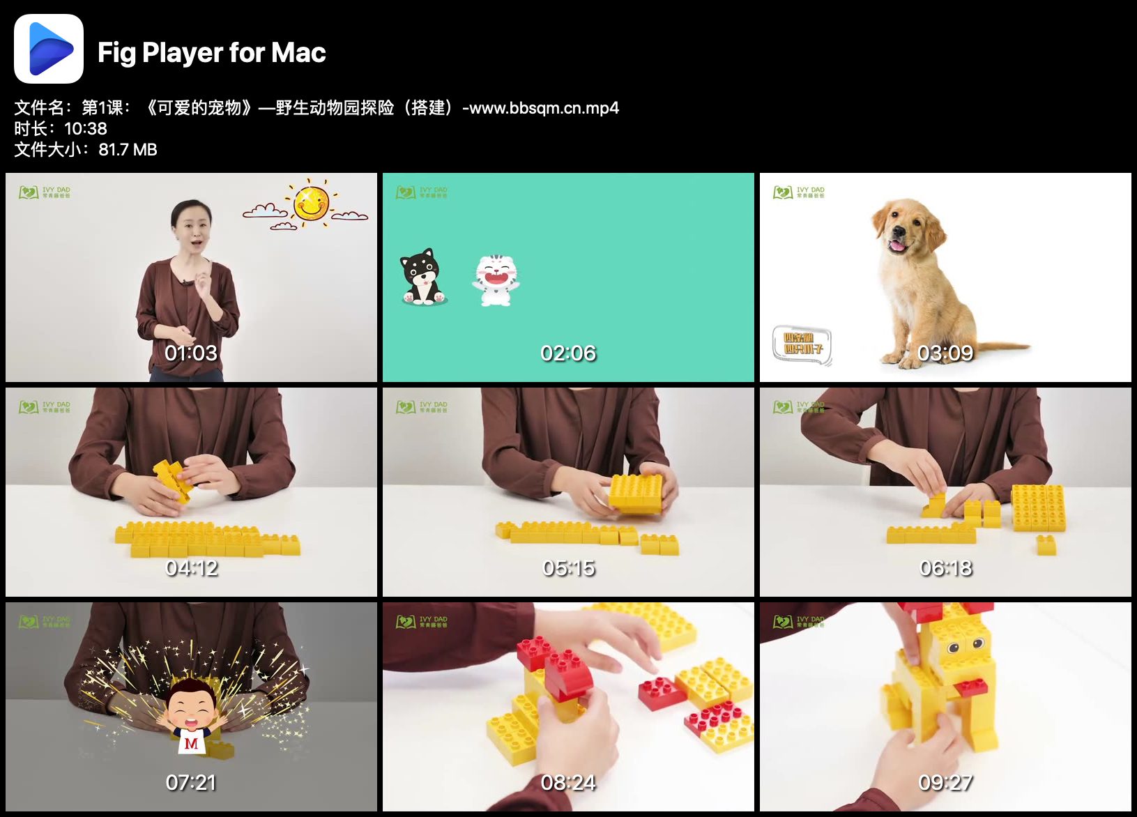 常青藤 儿童益智玩具 乐高创意玩法教程15课【完结】HS30779