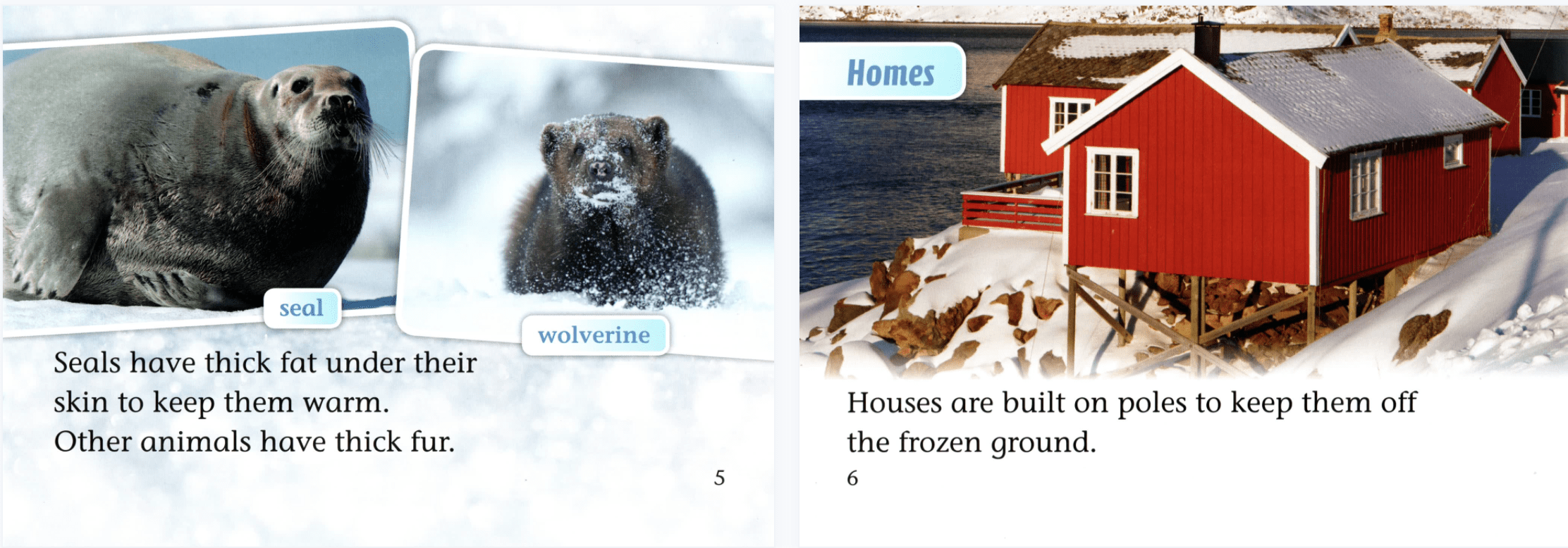 《柯林斯大猫Collins Big Cat》289本英文分级阅读绘本PDF+MP3+教参+课件 百度网盘下载 ET31070-第6张-教英语教材-贝贝鼠启蒙 《柯林斯大猫Collins Big Cat》289本英文分级阅读绘本PDF+MP3+教参+课件 百度网盘下载 ET31070-第6张-教英语教材