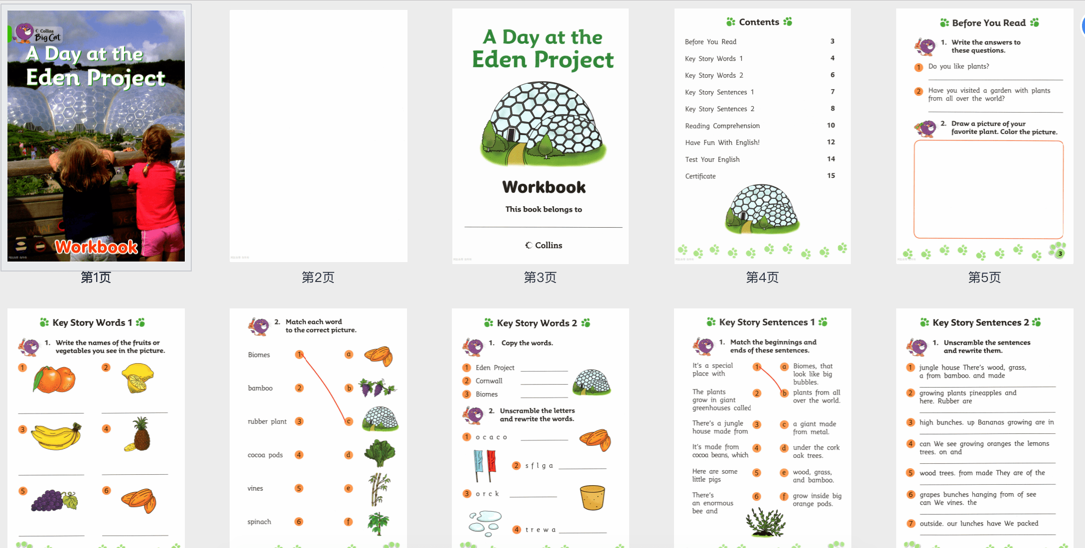 更新!《大猫分级阅读练习115册》1-7级巩固孩子英语知识PDF 百度云网盘下载 EW31081-第14张-做英语练习-贝贝鼠启蒙 更新!《大猫分级阅读练习115册》1-7级巩固孩子英语知识PDF 百度云网盘下载 EW31081-第14张-做英语练习