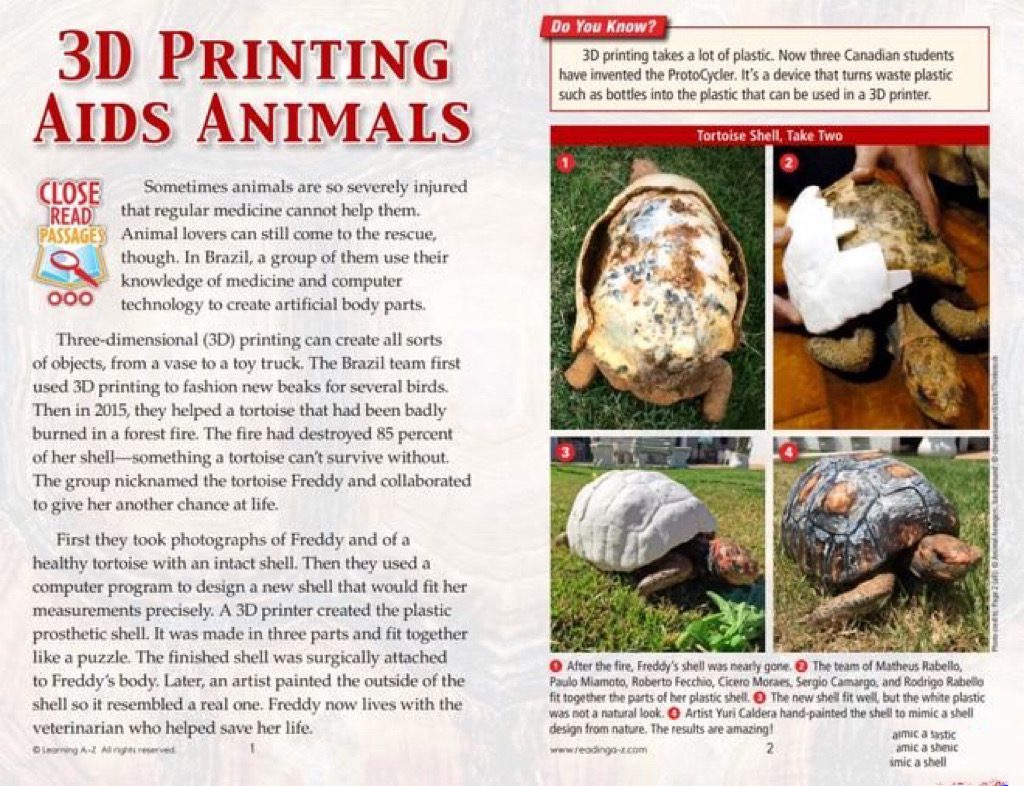 让英语阅读飞跃的法宝《Raz Close Read》300+篇精品阅读资源包附阅读指导答题卡 百度云网盘下载 ET31136-第5张-教英语教材