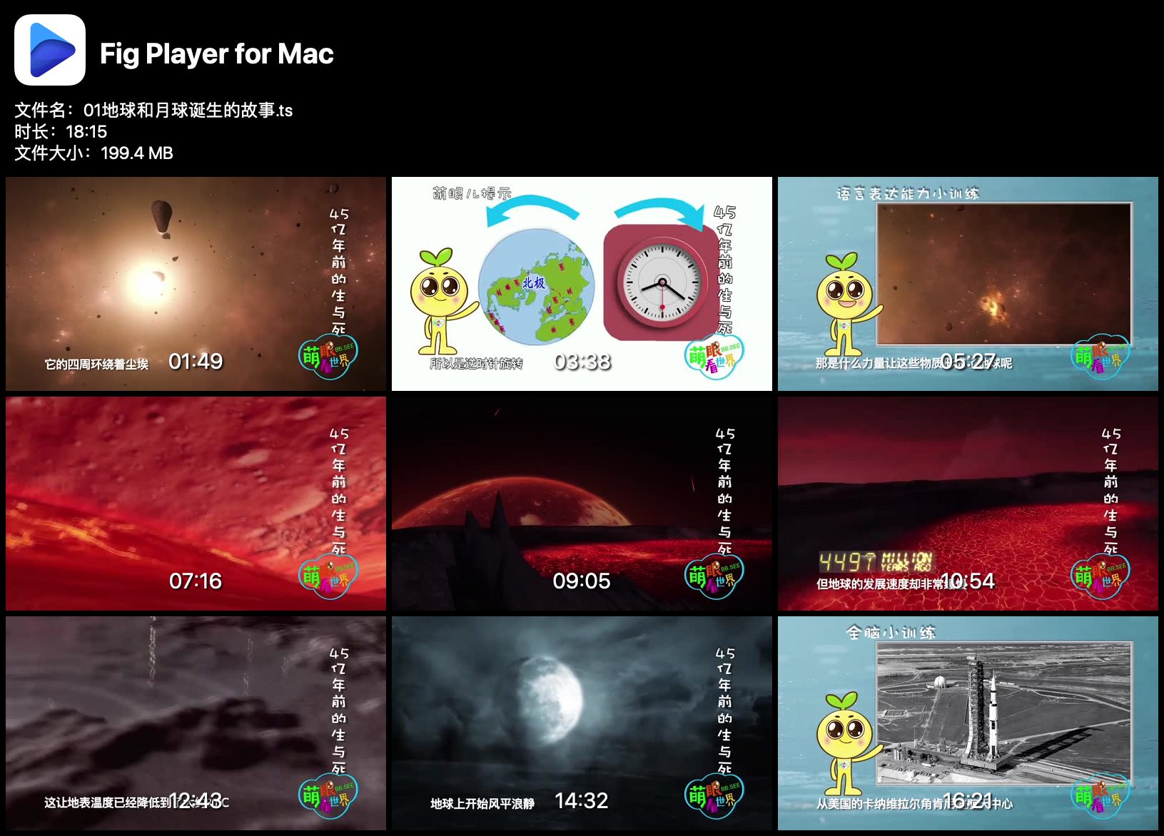 《小灯塔:地球生命史》 视频课程 全12集下载 科普/百科/地理 百度云网盘 BK31476-第3张-科普-贝贝鼠启蒙 《小灯塔:地球生命史》 视频课程 全12集下载 科普/百科/地理 百度云网盘 BK31476-第3张-科普