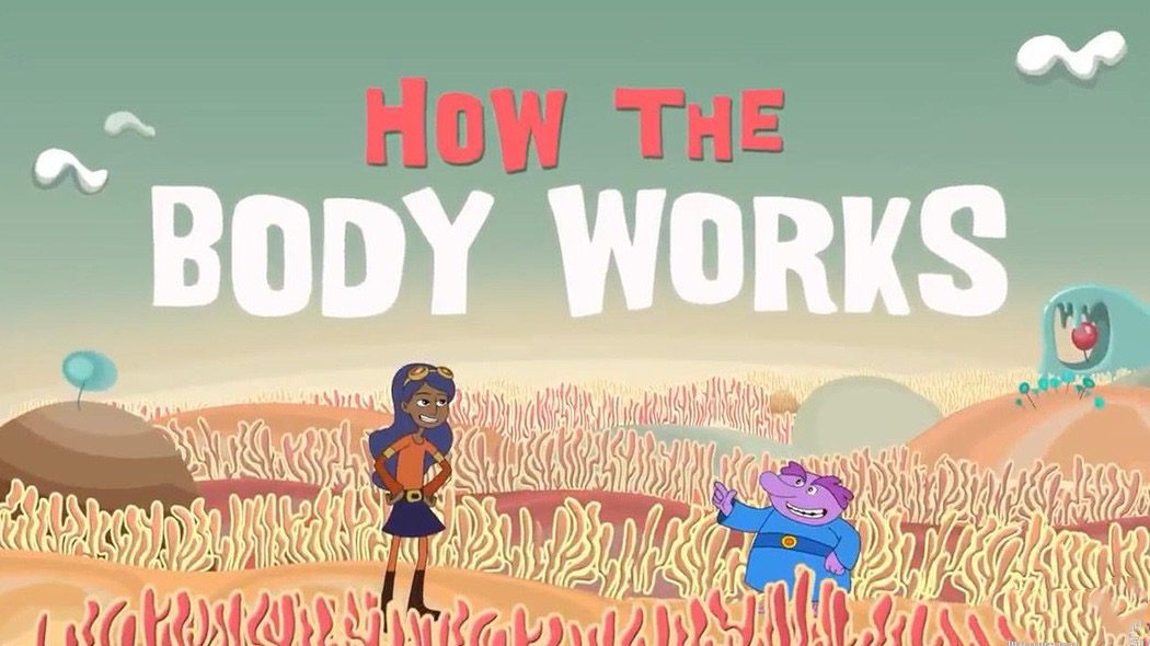 你的身体如何工作 How your body works 英文版全18集英语字幕高清720P视频MP4下载 EA31944