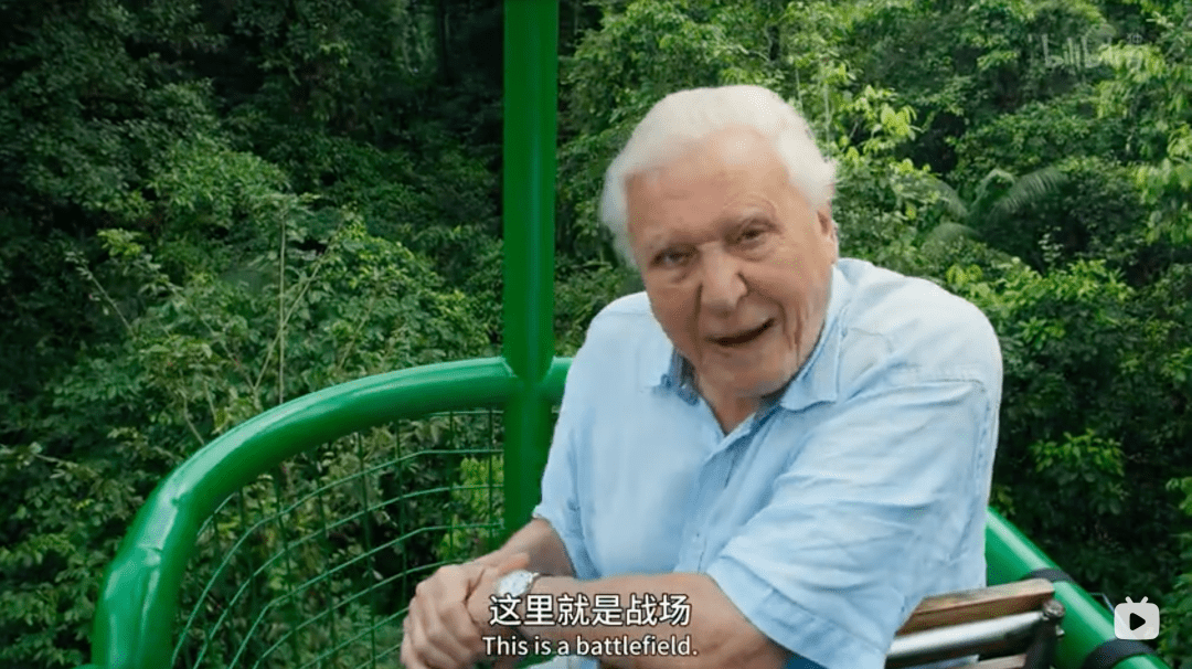 豆瓣9.8分BBC神作纪录片《绿色星球》4K超清 每一帧都惊艳无比，精彩到让孩子们一秒都不肯错过！DG31998-第2张-生态地理