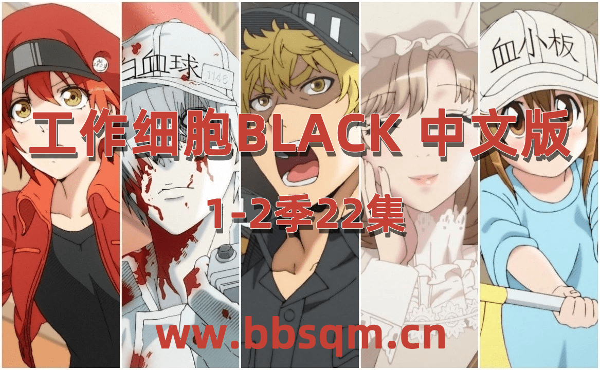 《工作细胞BLACK》1-2季22集 国语中字 [1080P][MP4] 百度网盘下载  DE33565