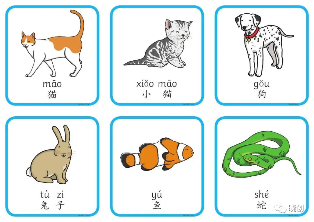 幼小衔接拼音卡片合集 百度网盘 LB37684