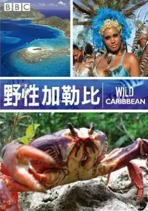 BBC经典纪录片：野性加勒比 DG38020
