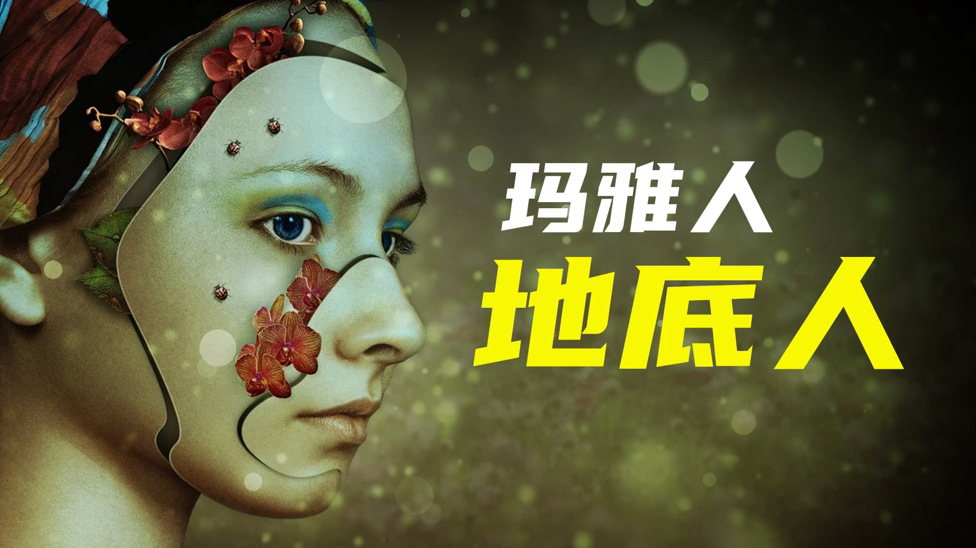 BBC经典纪录片：玛雅地底之谜 百度网盘下载 DH38034