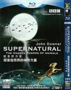 BBC经典纪录片:超自然力量 百度网盘下载 DG38113
