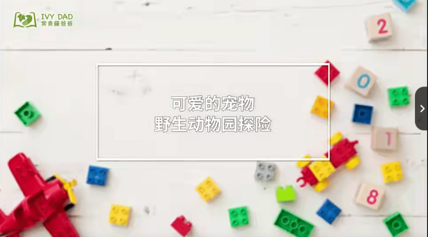 常青藤 儿童益智玩具 乐高创意玩法教程15课【完结】百度网盘 HS38161