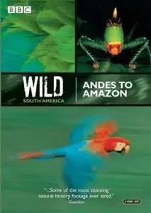 BBC经典纪录片：野性南美洲 百度网盘 DG38469