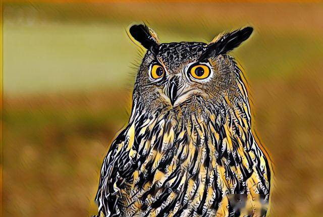 BBC经典纪录片：动物超感官 标清 百度网盘下载 DG38481