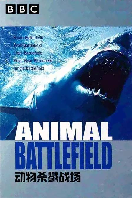 BBC经典纪录片：动物战场 百度网盘下载 DG38511
