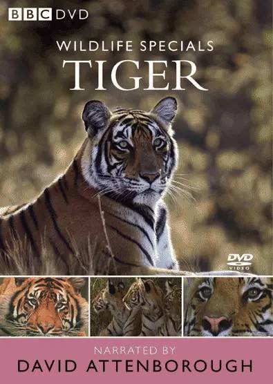 BBC经典纪录片：动物母性 百度网盘下载 DG38514