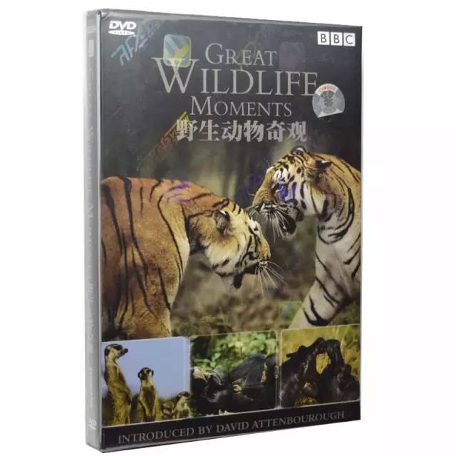 BBC经典纪录片：野生动物奇观 百度网盘下载 DG38517