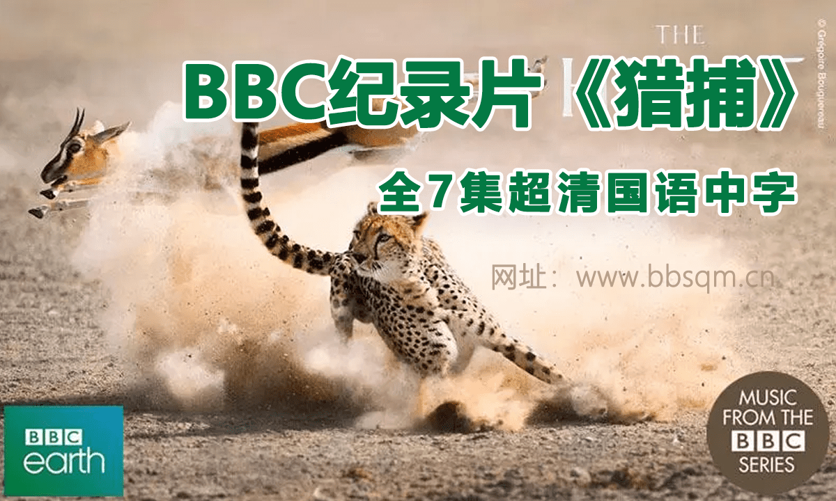 BBC纪录片《猎捕 The Hunt》全7集超清国语中字 百度网盘 DG38863