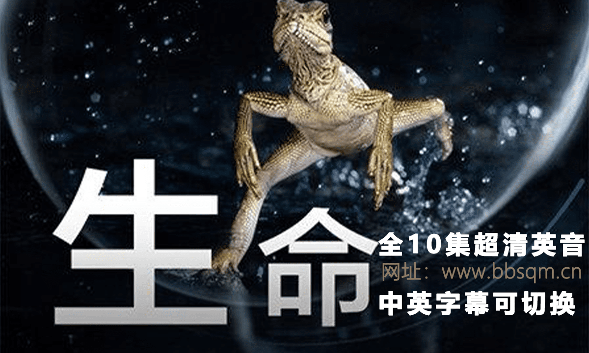 BBC生物史诗纪录片《生命_生命脉动 Life》全10集 1080P高清纪录片 英音中英字幕可切换 百度云盘下载 DG38875