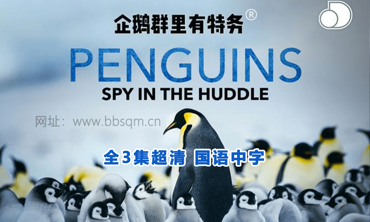 BBC纪录片《企鹅群里有特务 Penguins: Spy in the Huddle》全三集 国语中字 1080P超清 百度网盘 DG38880