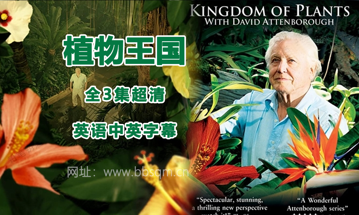 《植物王国Kingdom of Plants》全3集英语发音中英字幕 科普英文纪录片 百度云网盘下载 DG38883
