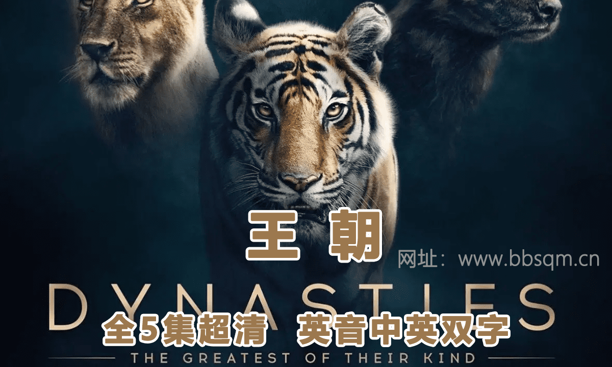 BBC纪录片王朝 Dynasties（2018）英文版全5集中英双字高清1080P视频MP4百度网盘下载 DG38886