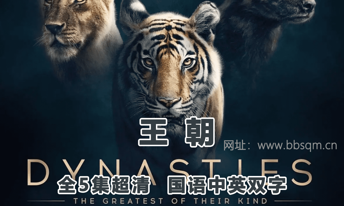BBC纪录片王朝 Dynasties（2018）国语版全5集中英双字高清1080P视频MP4百度网盘下载 DG38889