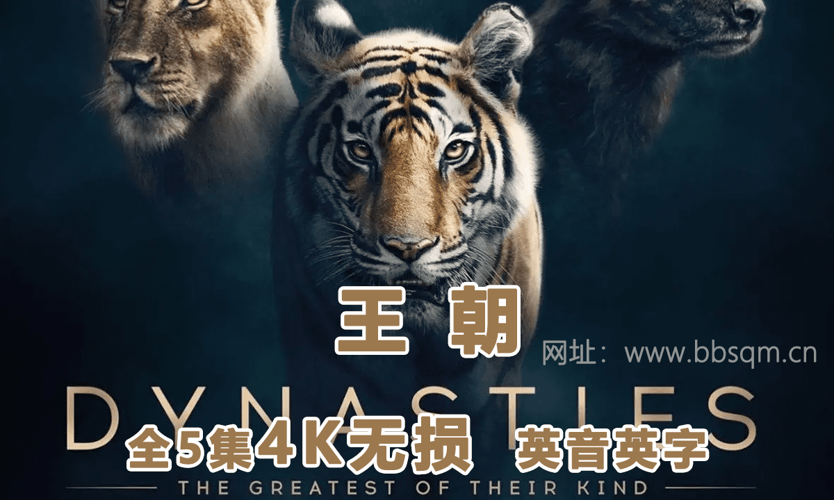 BBC纪录片王朝 Dynasties（2018）英文版全5集4K蓝光MKV视频内嵌英文字幕百度网盘下载 DG38894