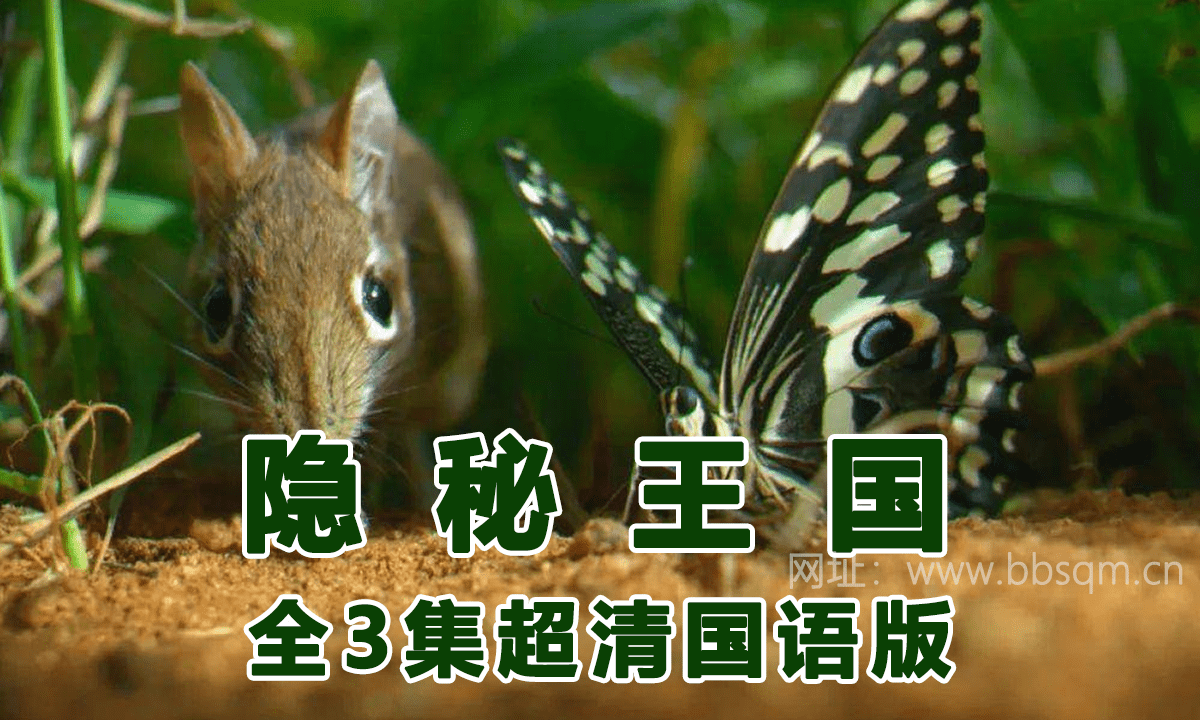 BBC纪录片《隐秘王国》国语版1080P超清3集全 百度网盘下载 DG38899