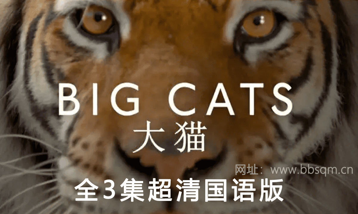 BBC经典纪录片 大猫：终极猎食者【3集 国语 中英字幕 1080P 3.3G MKV】增长知识必备 百度网盘下载 DG38902