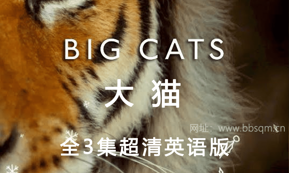 BBC经典纪录片 大猫：终极猎食者【3集 英语 1080P 13.3G MKV】学英语增长知识必备 百度网盘下载 DG38905