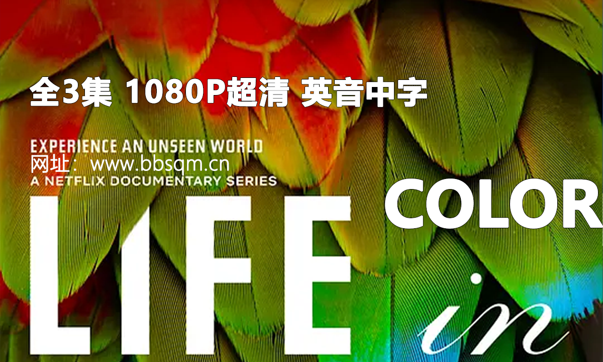 豆瓣9.3分！BBC出品的科普纪录片《Life In Colour》全3集，值得陪孩子一起看！英音中字 1080P超清MP4视频 DG38050