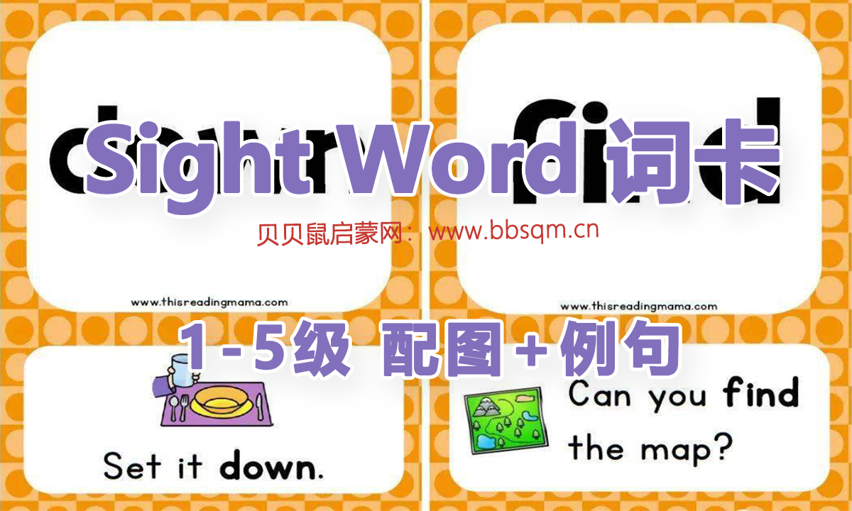sight words 词卡,5个级别 ,有例句,有配套图片超级赞!EW39300