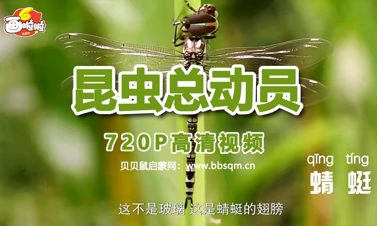 画啦啦 小灯塔 昆虫世界总动员 720P高清MP4视频 百度网盘下载