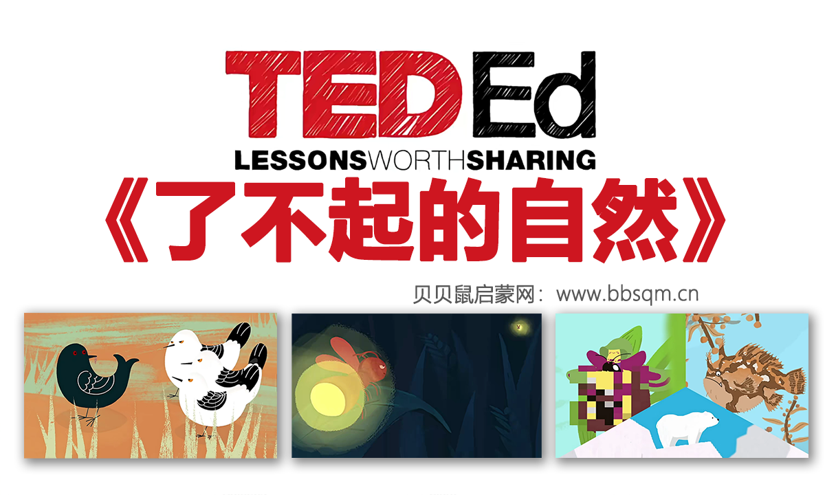 TED-Ed《了不起的自然》系列科普动画  128集全