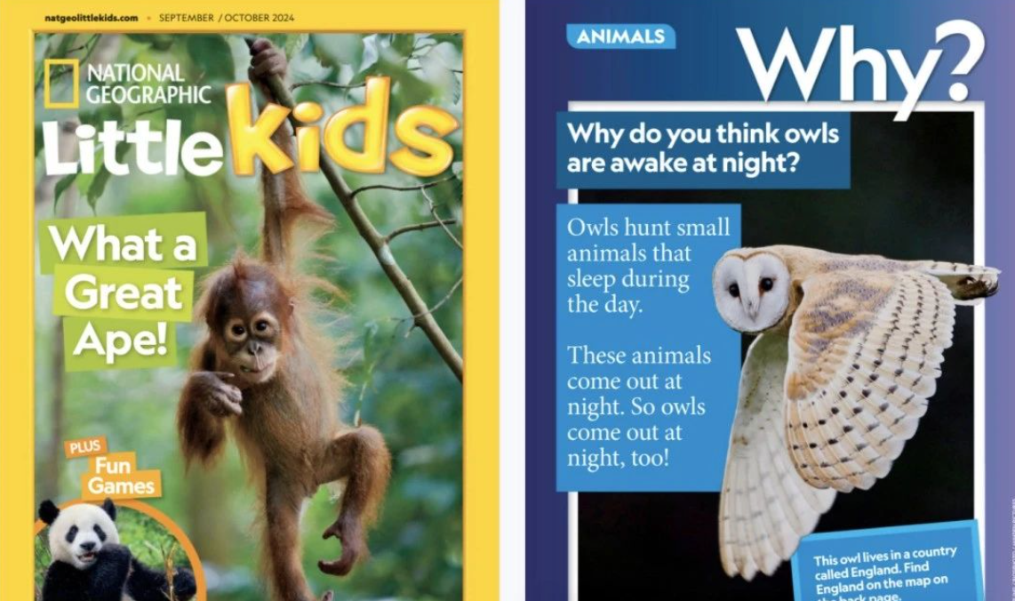 原版科普杂志｜美国国家地理幼儿版！National Geographic Little Kids