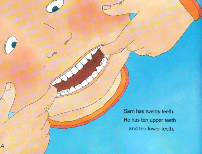 Let's Read And Find Out Science 史上最棒的自然科普启蒙英语绘本118册 PDF+音频 百度网盘下载-第2张-读英语绘本