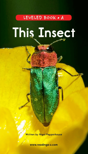 This Insect英文绘本PDF+音频百度网盘下载