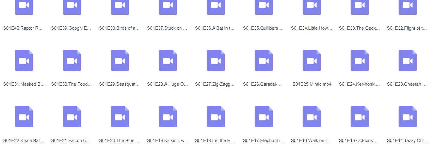 【第一季】《Wild Kratts》动物兄弟英文版动画视频百度网盘下载-第2张-英语动画-贝贝鼠启蒙 【第一季】《Wild Kratts》动物兄弟英文版动画视频百度网盘下载-第2张-英语动画