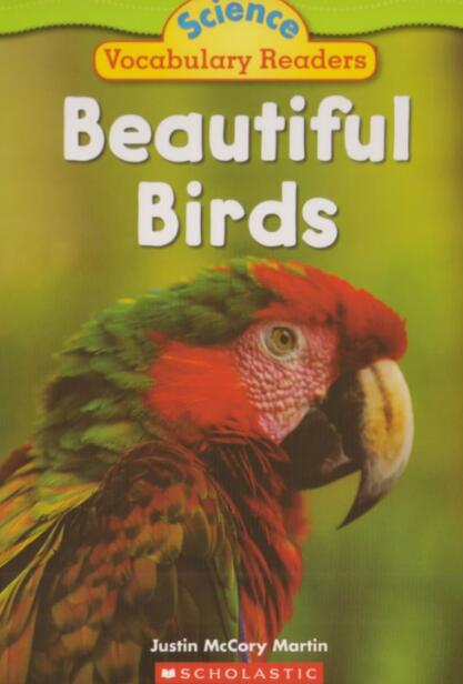 Beautiful Birds美丽的鸟类英文绘本pdf资源下载