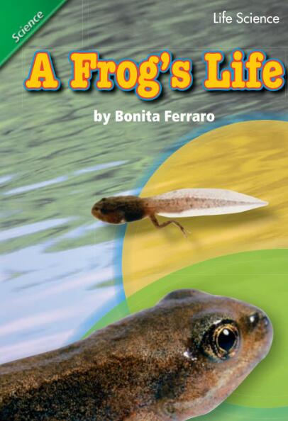 A Frog’s Life英语绘本翻译及pdf资源下载