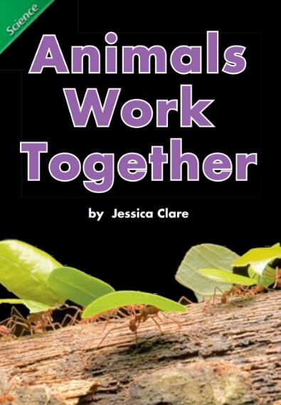 Animals Work Together少儿英语绘本翻译及pdf资源下载