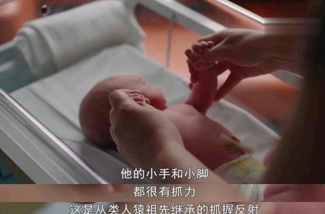 12部99集育儿纪录片视频资源，9部超清1080P，百度网盘下载-第2张-社会生活