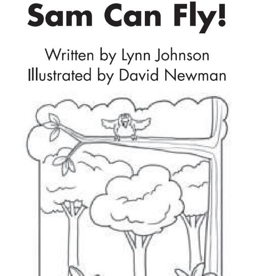 Sam Can Fly英语绘本翻译及pdf资源下载