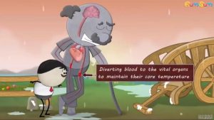 火爆外网7部儿童科普英文动画Aumsum Time数学物理科学生物化学MP4共290集+百度网盘下载S10002-第4张-英语动画