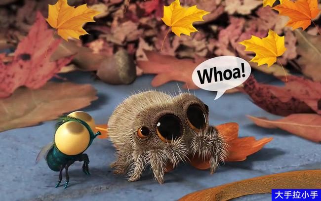 YouTube热播 最全最新全世界最可爱的《小蜘蛛卢卡斯Lucas the Spider》34集1080P 英文字幕 百度网盘下载EA10040-第4张-英语动画