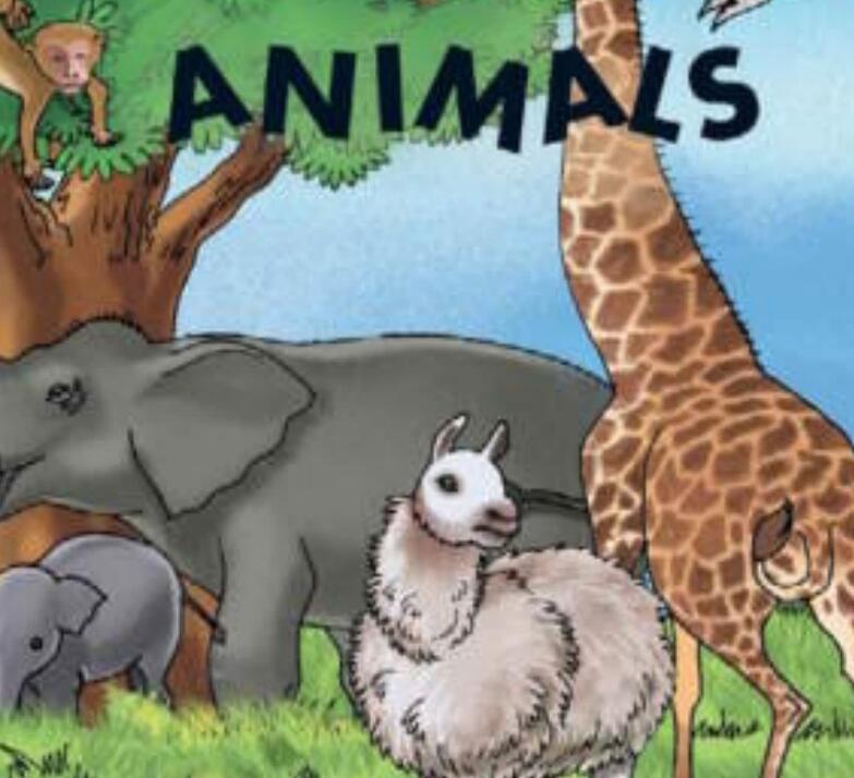 《Animals动物》儿童英语绘本pdf电子书资源下载