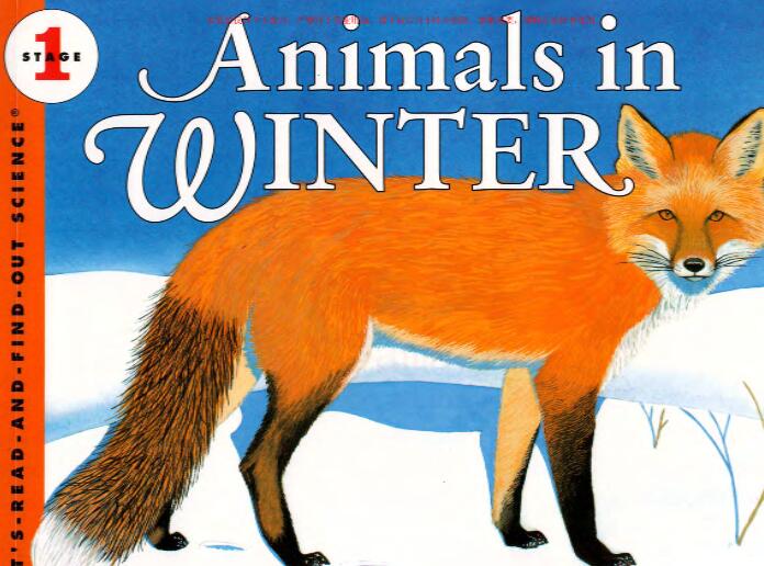 《Animals in Winter冬天里的动物》英语绘本pdf资源免费下载