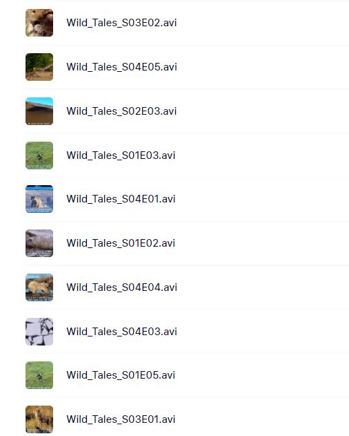 BBC《少儿动物世界 Wild Tales》视频字幕版资源下载