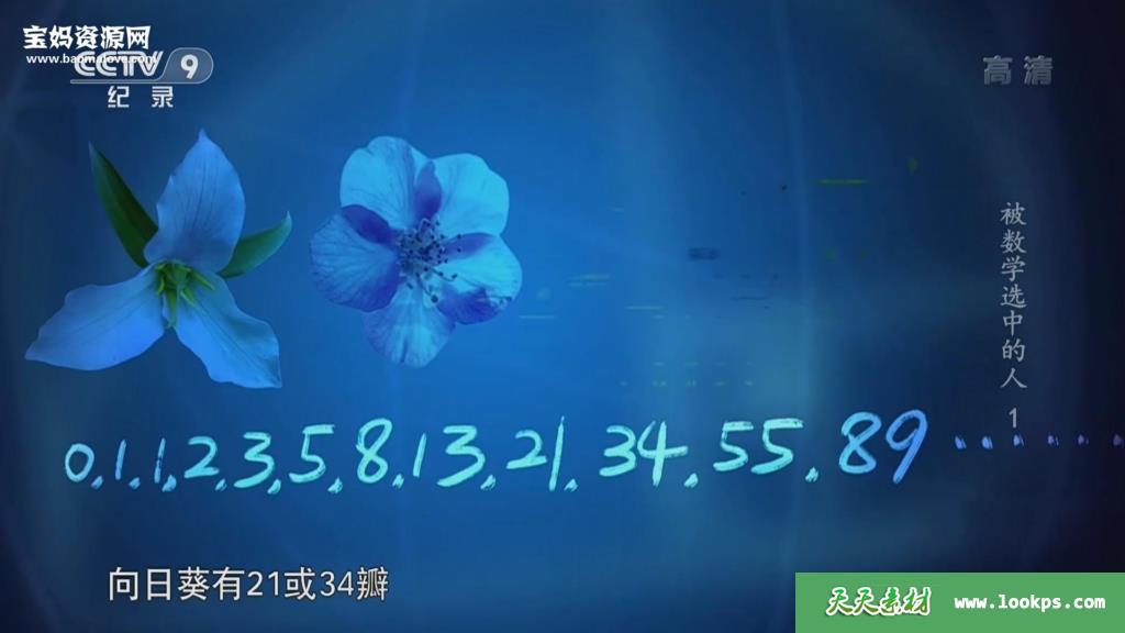 《被数学选中的人》[全4集][国语中字][1080P][TS] 百度网盘下载 D10006-第5张-科学探索