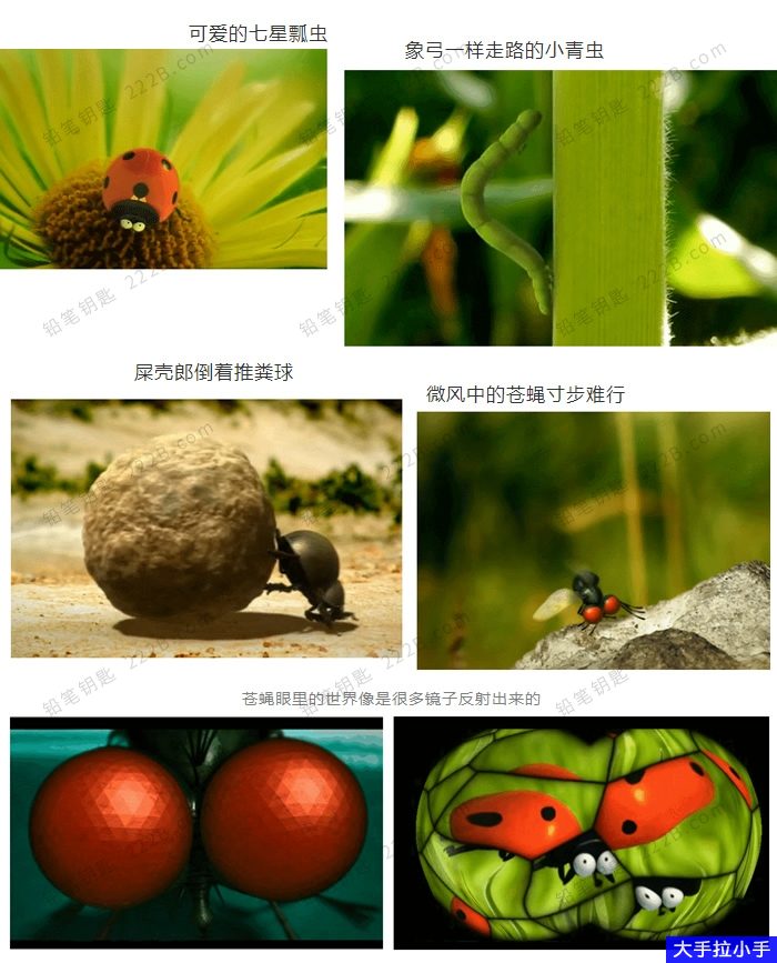 妙趣横生 昆虫总动员 《微观小世界minuscule》1-2季177集昆虫动画记录片MP4超清视频 百度云网盘下载 D10044-第2张-生态地理-贝贝鼠启蒙 妙趣横生 昆虫总动员 《微观小世界minuscule》1-2季177集昆虫动画记录片MP4超清视频 百度云网盘下载 D10044-第2张-生态地理